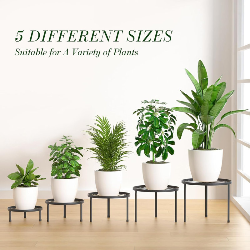 Plant Stand - Set of 5