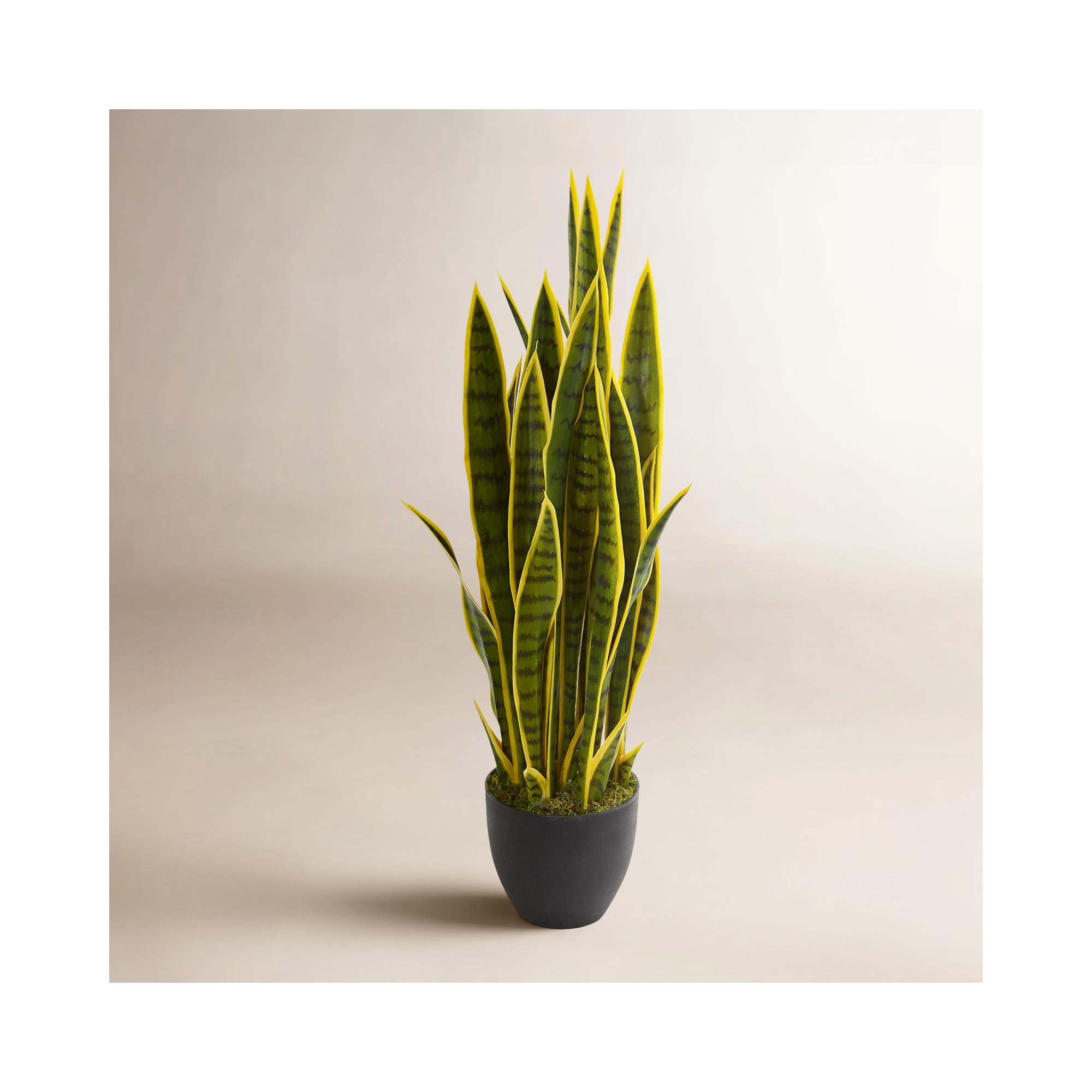 33" Artificial Snake Plant in Pot, Green/Yellow, 33" H x 8" W x 8" D