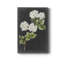 «Dramatic White Flowers II», reproduction sur toile tendue-868117458