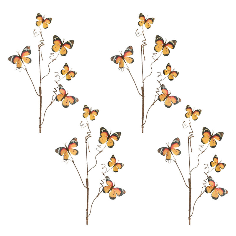 Brindille papillon, Orange
