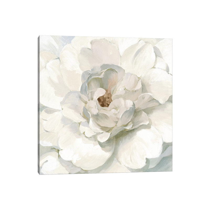 Neutral Peony by Danhui Nai - Wrapped Canvas Painting, 93.98 cm H x 93.98 cm W x 3.175 cm D