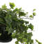 Jenner Faux Ivy Plant in Glass Vase-1469718575