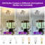 Plafonnier linéaire linéaire Spoutnik 14,17 po Hannah-Jayne-920574496-905907870