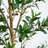 Artificial Olive Tree with Natural Trunk