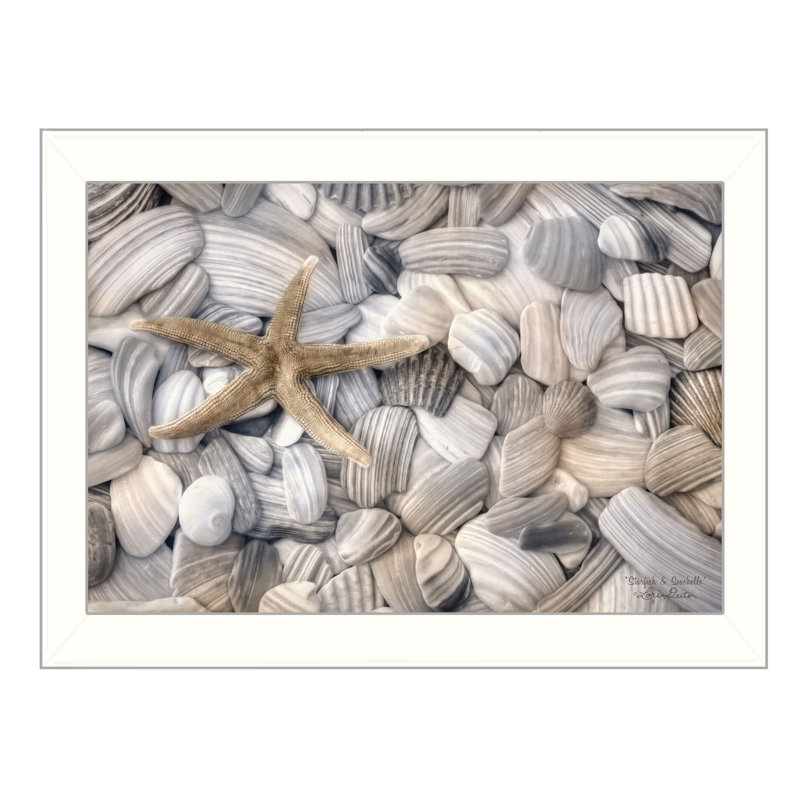 «Starfish and Seashell» par Lori Deiter, art mural imprimé, affiche prête à accrocher
