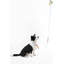 Laisse ajustable mains libres et collier 6-en-1 avec lampe DEL Luna 8 pi-112281010-133664131