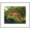«Tiger and Snake» par Eugène Delacroix, impression giclée sur cadre