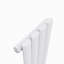 Roxanna Vertical Oval Panel Radiators-817229028