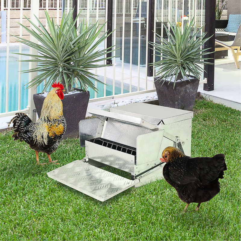 Le dispositif d'alimentation automatique en acier galvanisé et en aluminium - capacité de 30 lb, favorise la productivité du poulet et la mangeoire améliore la qualité des œufs santé