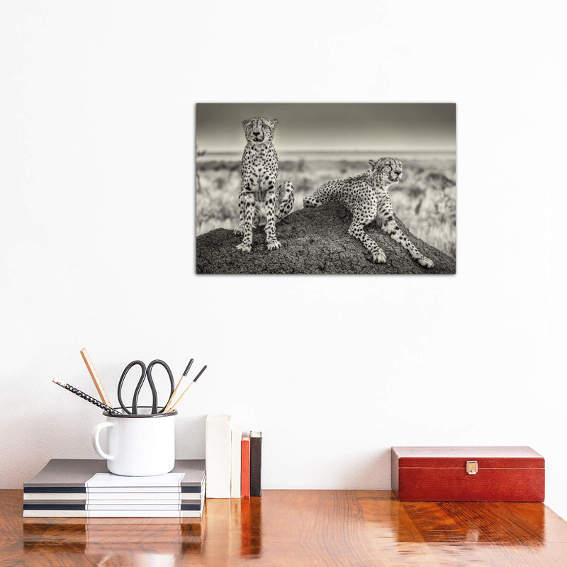 Two Cheetahs Watching Out by Henrike Scheid - Wrapped Canvas Print, 30.48 cm H x 45.72 cm W