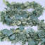 Guirlande 8,3 pi Faux Dollar Eucalyptus