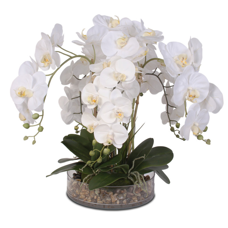 Real Touch Life Like Phalaenopsis Orchid and Vanilla Grass Bush Floral Arrangement