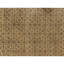 Oriental Area Rug in Beige/Gray
