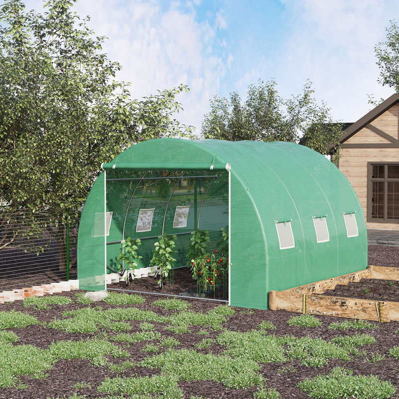 Serre de plain-pied sans cadre, Vert, H 78,8 po x l 118 po x P 118 po