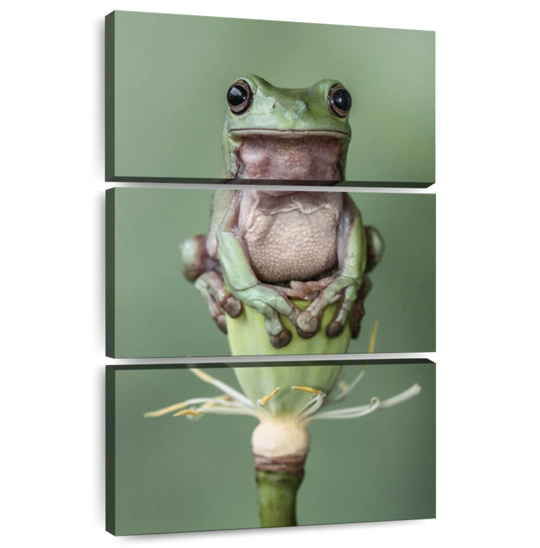 Brampt Frog On A Lotus Flower, 32" H x 20" W