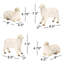 Ensemble de 4 figurines de moutons Griselda