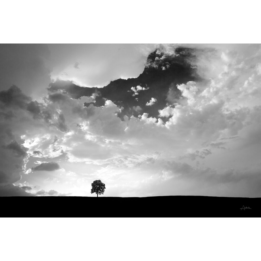 Leinwandbild Lone Tree von Aledanda