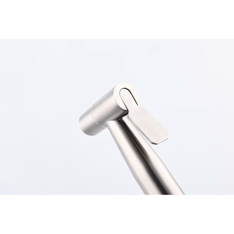 Handheld Bidet For Toilet - Silver Metal Build, Two Water Options, Hygiene Enhancement Spray Simple Installation, Silver