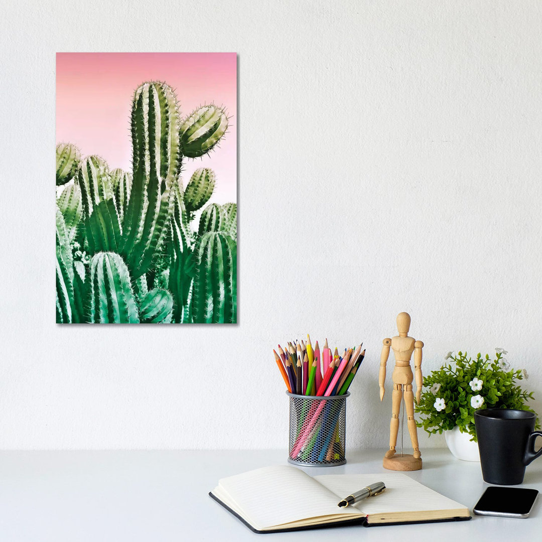 Wild Cactus From The Desert