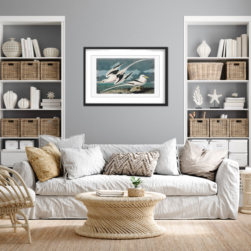 Nature Inspired Tropic Bird From Birds Of America (1827), 30" H x 40" W