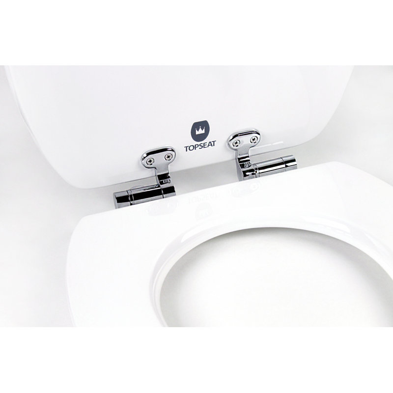 Beach Themed Blue Wood Elongated Toilet Seat with Acrylic Coating