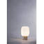 Santachiara Solid Wood Novelty Lamp