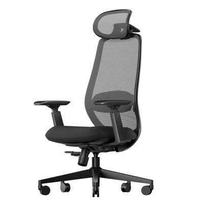 ProtoArc Casden Mid‑Back Mesh Task Chair, Ergonomic Home Office Desk Chair, Multi‑Adjustable Padded Armrests, Breathable Mesh Back, Tilt Tension & Lock Function, 360° Swivel Computer Chair for Home & Office Black