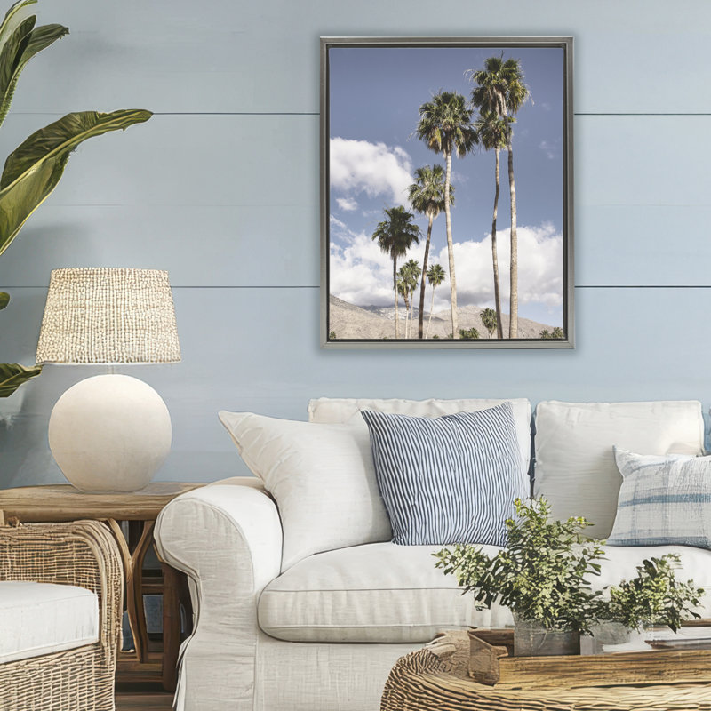 Cadre flottant Palm Springs, dessiné par Danita Delimont, H 31 po x l 25 po, Cadre flottant gris lustré