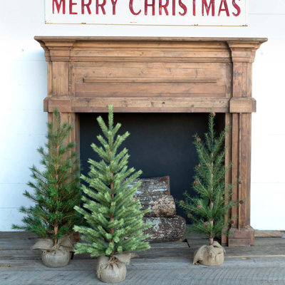 3' Green Realistic Artifical N/A Christmas Tree -  Park Hill, XPQ80211