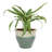Berlina Round Imperial Ceramic Outdoor Planter-2096414548-2096375821