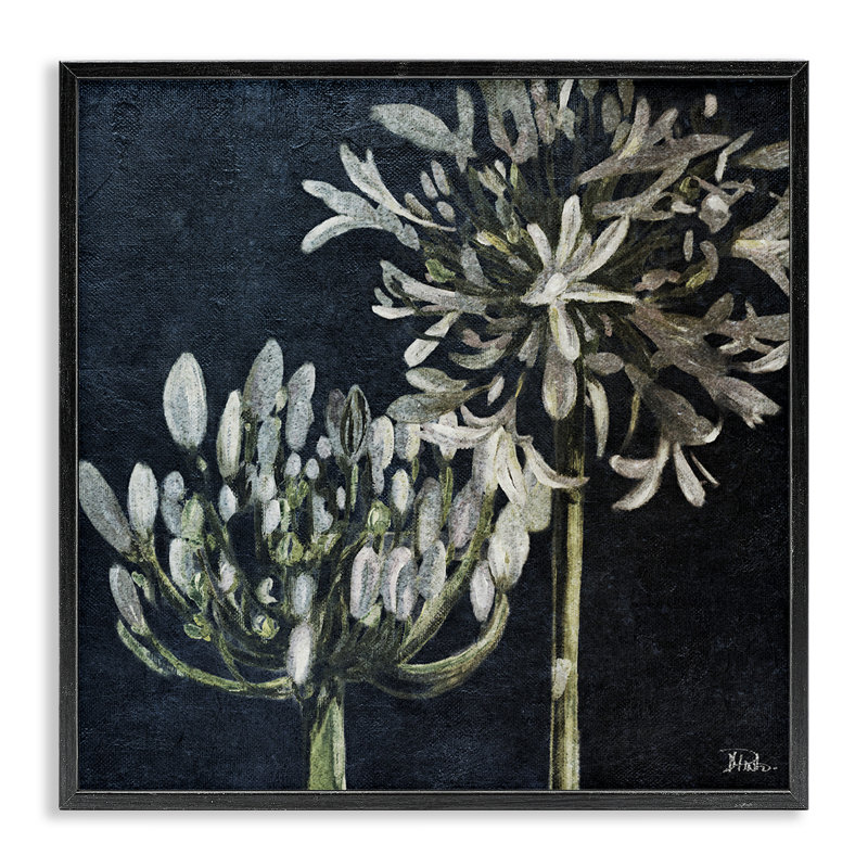 «Blooming White Herbs», art de la giclée encadrée par Patricia Pinto, Giclée encadrée noir minuit, H 17 po x l 17 po
