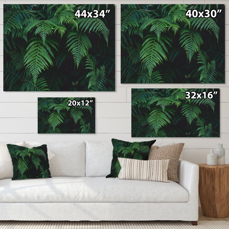 Fougères vert foncé dans la forêt I - photographie sur toile, H 24 po x l 32 po, Toile tendue