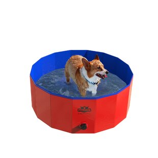 https://assets.wfcdn.com/im/05248397/resize-h310-w310%5Ecompr-r85/4983/49831069/pet-pool-and-bathing-tub.jpg