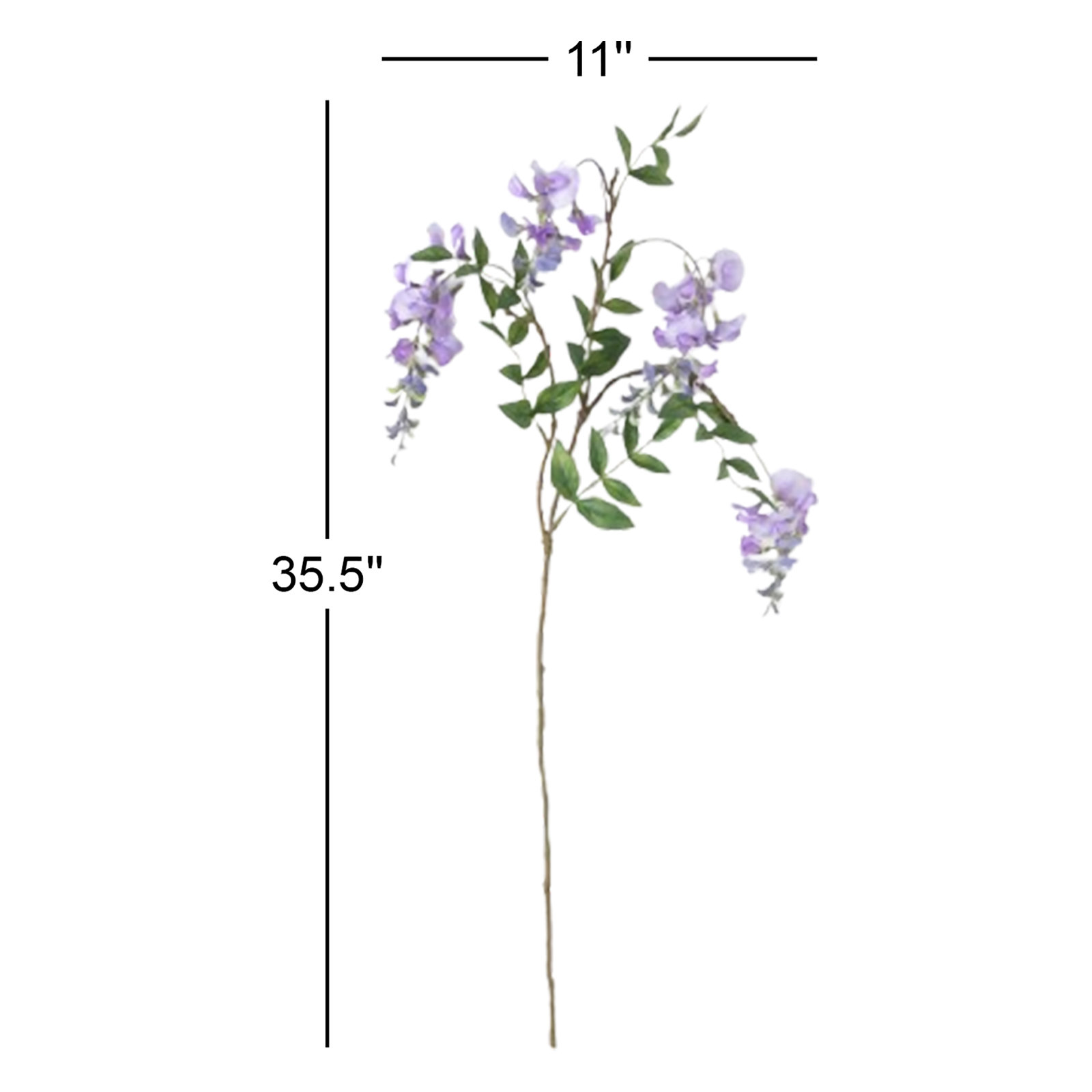 Wisteria Spray