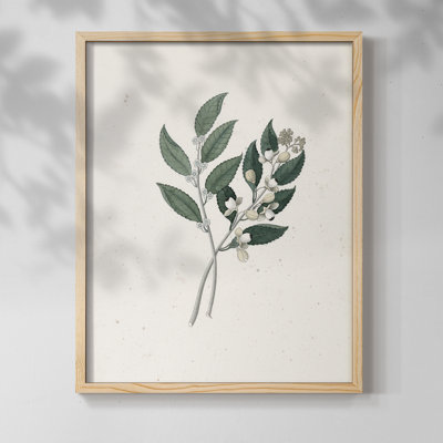 " Vintage Floral Print CLXXXVII "