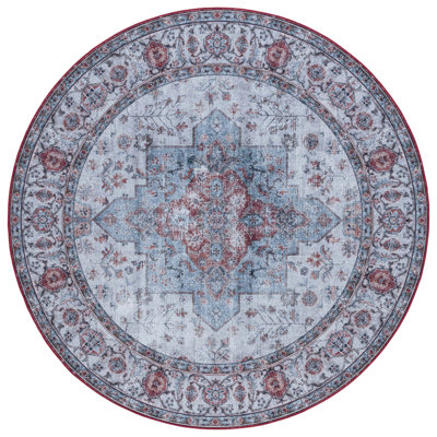 Melhado Performance Machine Washable Oriental Rug