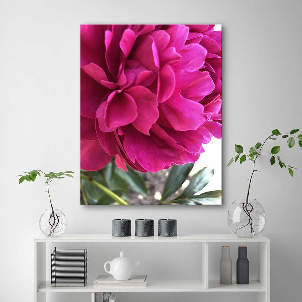 Leinwandbild Peony Pink Flower Nature