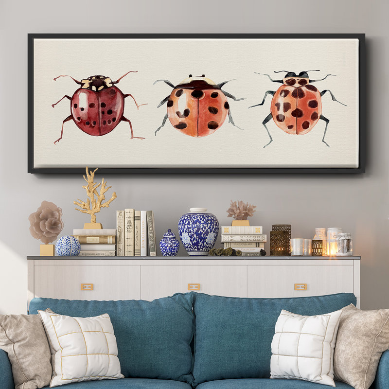 Coccinelle, H 20 po x l 50 po