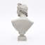 Grey Neo-Classical Bust Sculpture – Matte Resin Decorative Ornament (35 cm) 