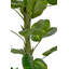 120cm Faux Plant in Cement Pot