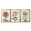«Chrysanthemum Woodblock I», toile tendue sur mesure avec châssis, 3 pièces-1908128432-1908128429
