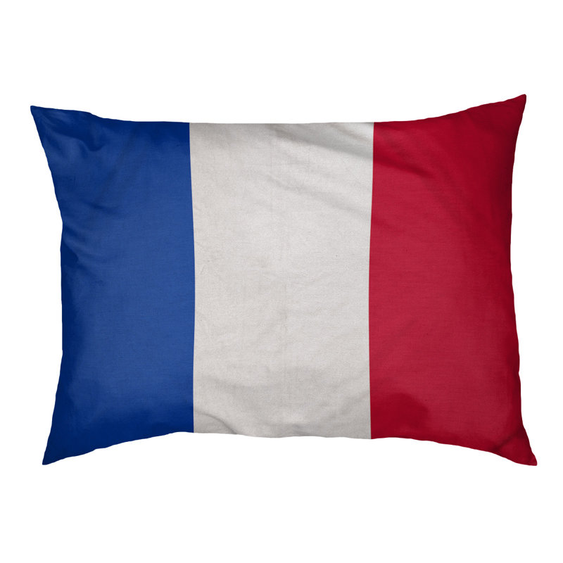 Coussin pour chien hockey Las Vegas, Moyen (H 14 po x l 40 po x P 30 po), Bleu / blanc / rouge