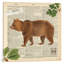 Ii, impression sur toile tendue Lodge Collage-18882646-74292873-74292874