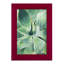 «Green Tropical Succulent I», reproduction de cadre photo simple-833901752-833901735