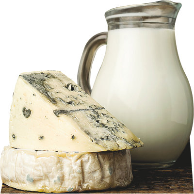 SP13130 - Fromage bleu, brie, lait, crème de lait, carton découpé, debout
