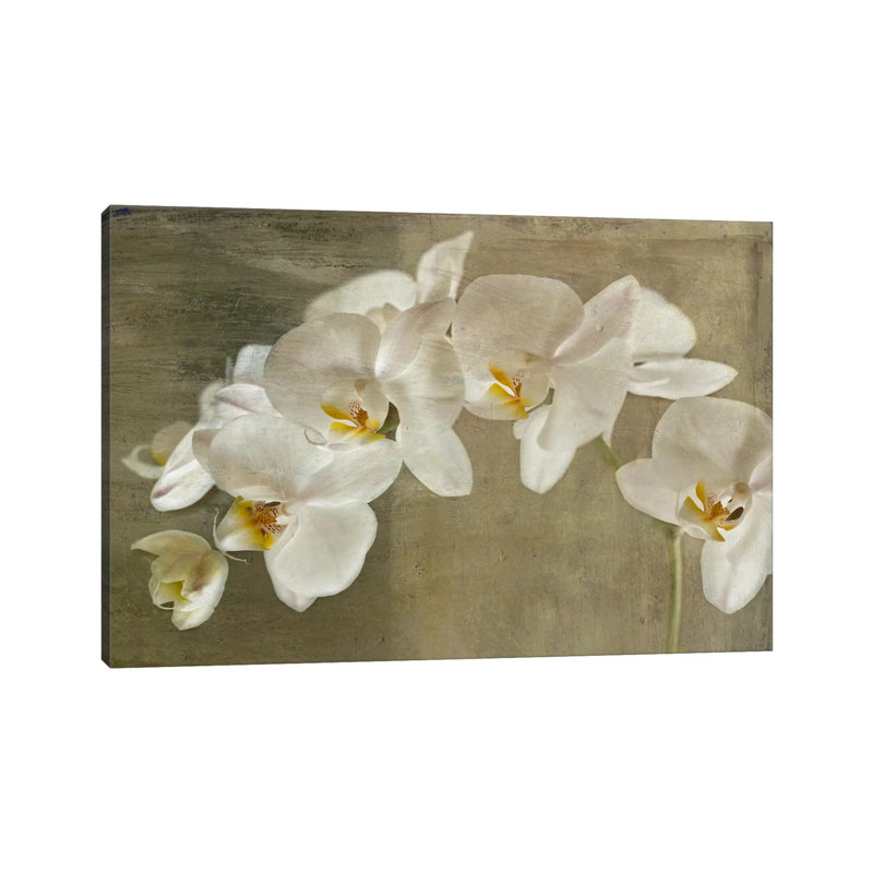 Orchidée peinte - reproduction d'art, Toile tendue, H 32 po x l 48 po x 1,5 po