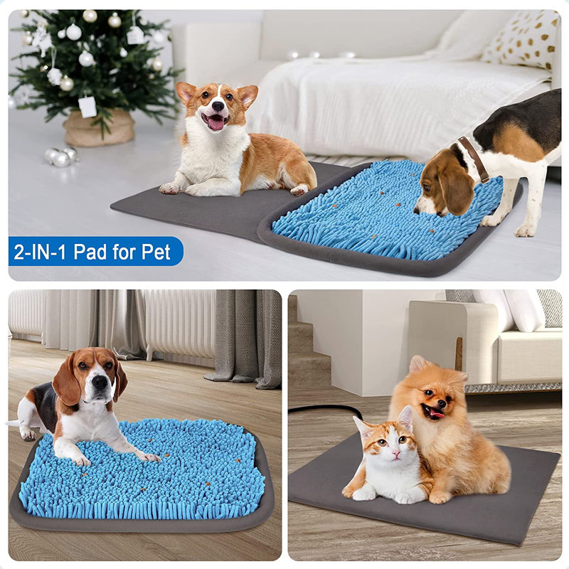 Tapis Chantasia