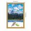 Cadre photo Tudorina-1523454546