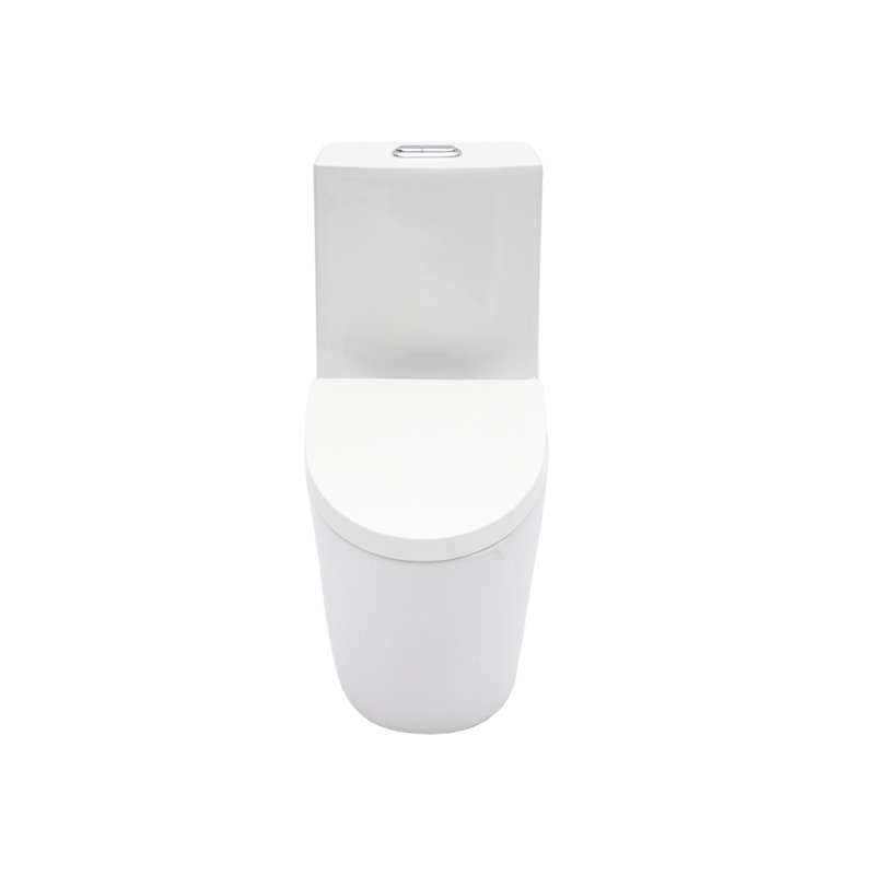 Ceramic One Piece Toilet For Bathroom - 12-Inch Rough-In, Dual Flush (1.24/1.6 GPF), Soft-Closing Seat