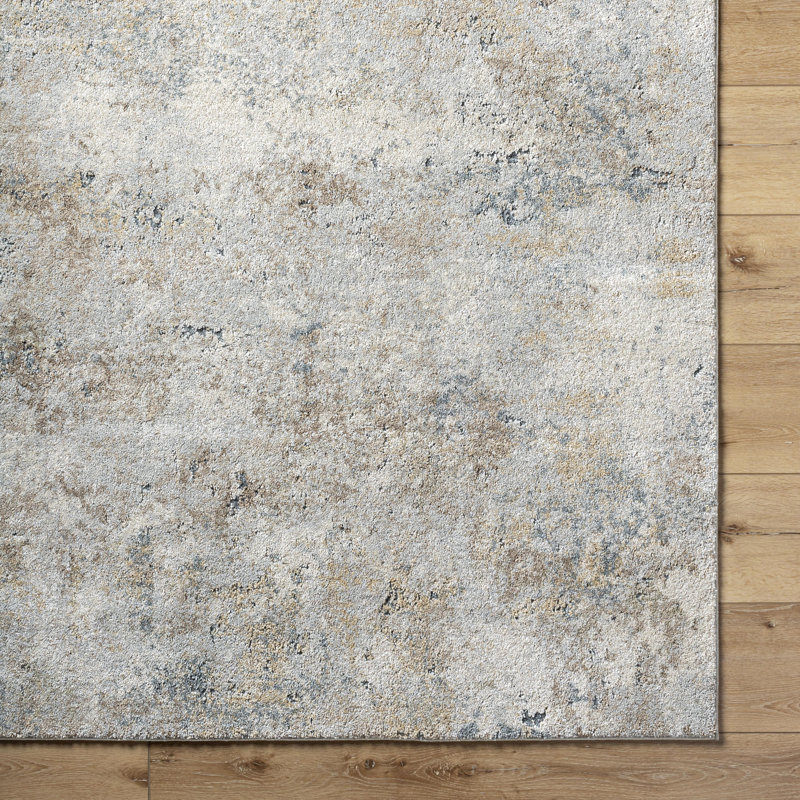 Puccio Abstract Indoor Rug, Rectangle 2' x 2'11"